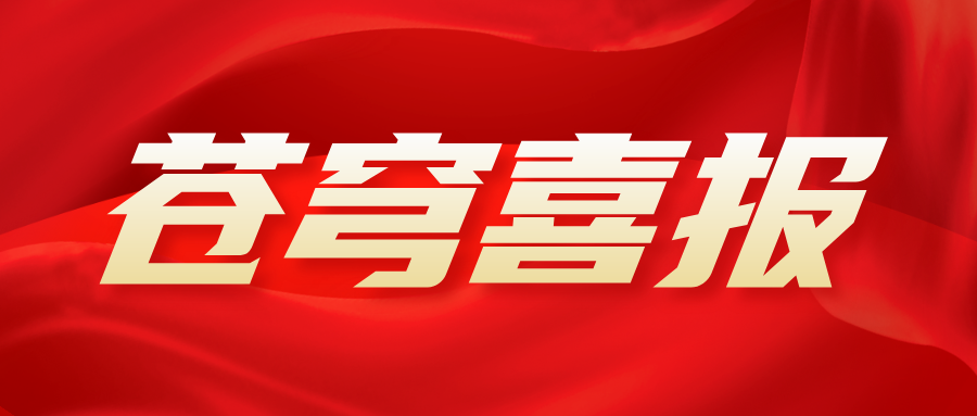 喜報！蒼穹數碼攜手中國水利水電科學(xué)研究院等單位榮獲“2025地理信息科技進(jìn)步獎”一等獎